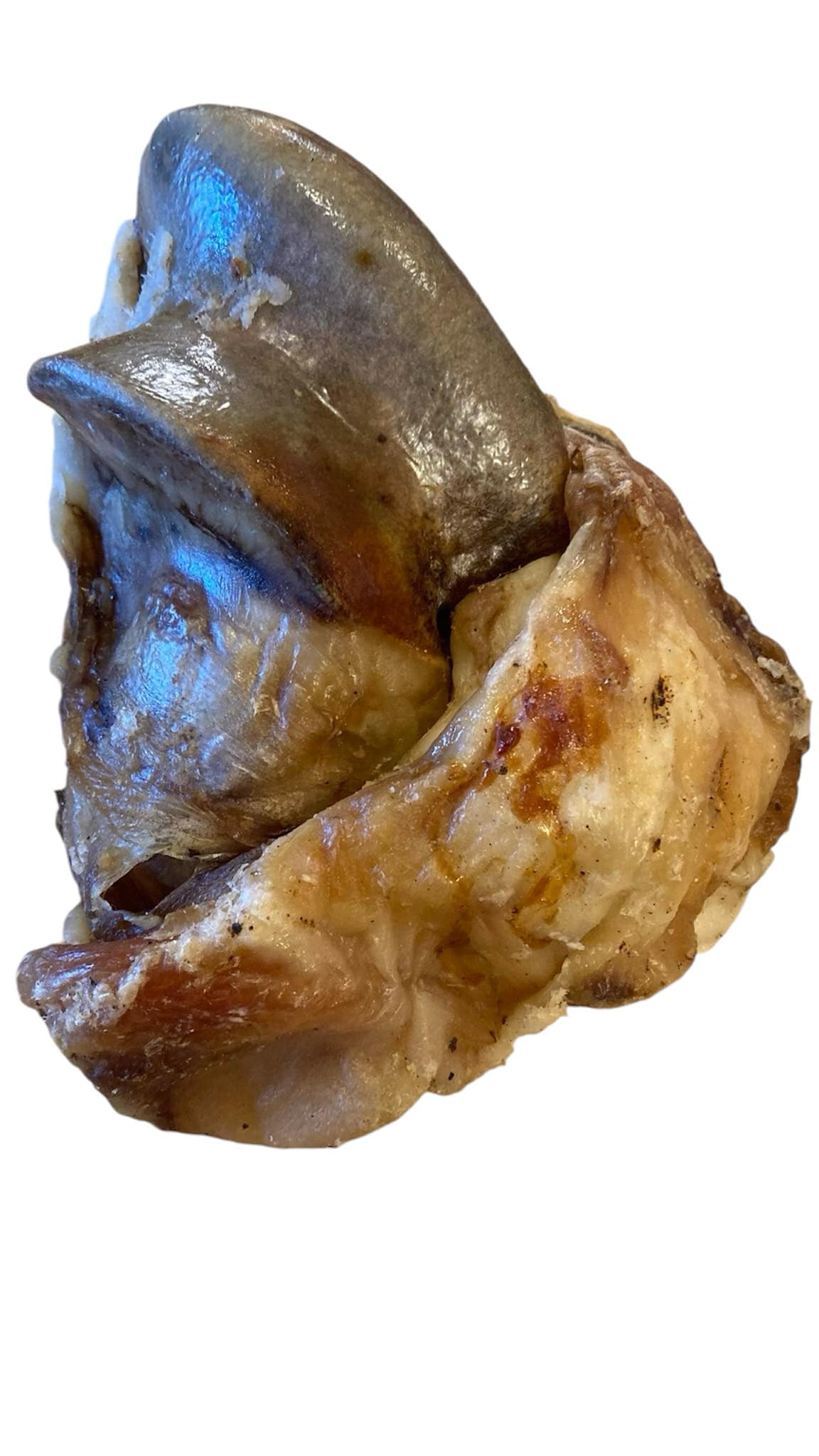 Bison knuckle - Large