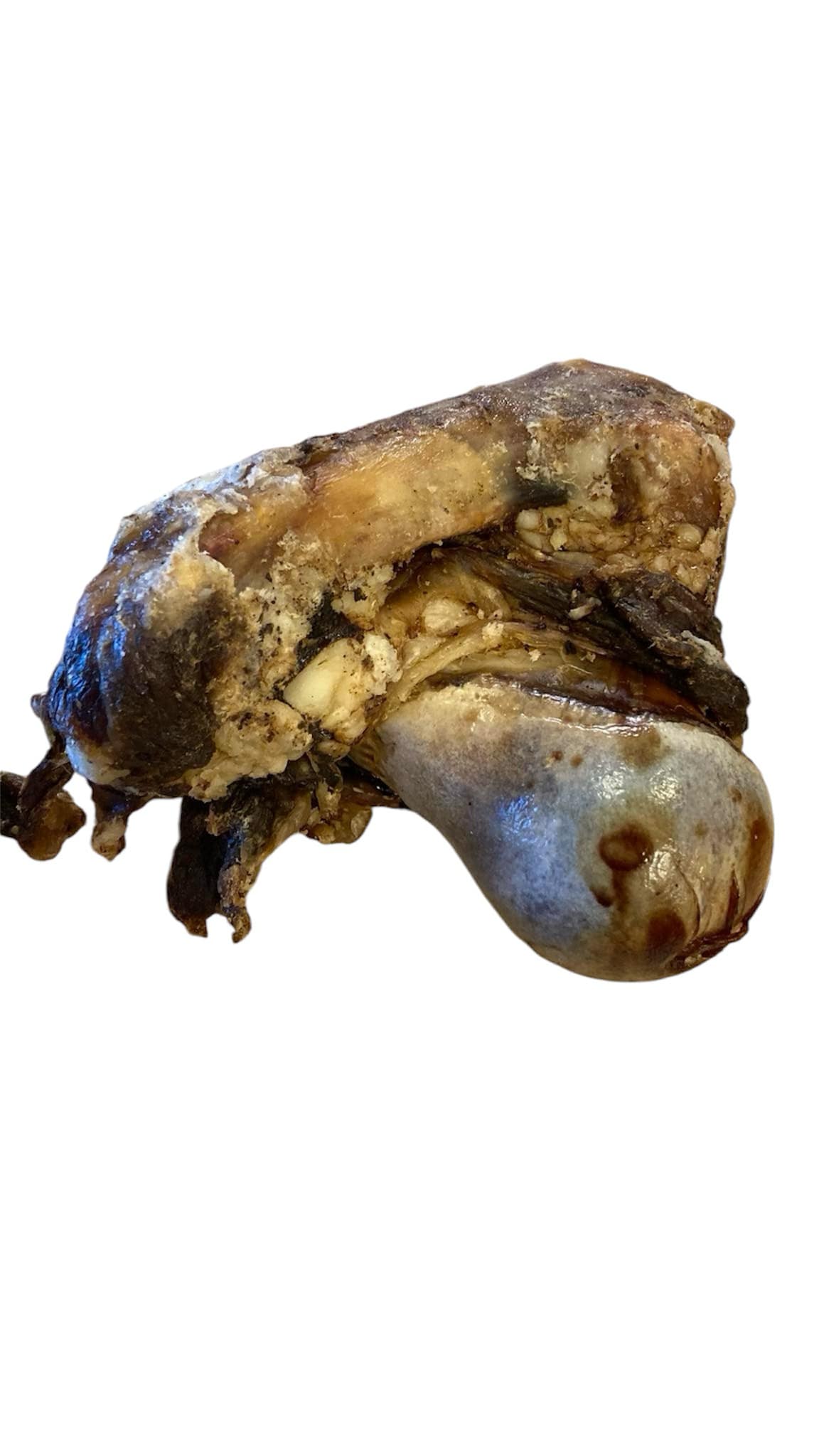 Bison knuckle - Medium